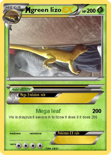 Pokemon green lizo