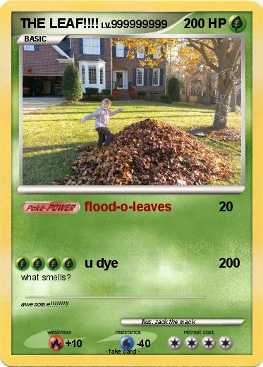 Pokemon THE LEAF!!!!