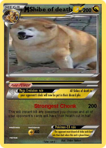 Pokemon Shibe of death