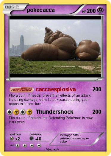 Pokemon pokecacca