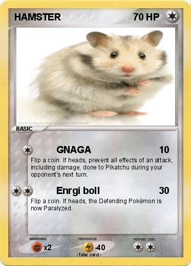 Pokemon HAMSTER