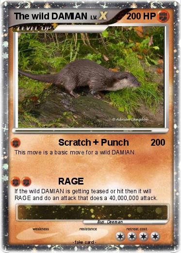 Pokemon The wild DAMIAN