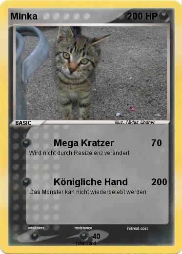 Pokemon Minka