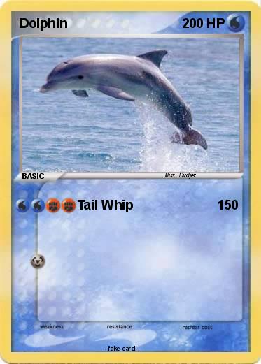 Pokemon Dolphin