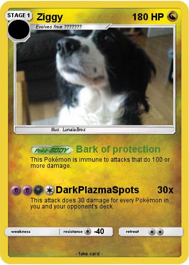 Pokemon Ziggy