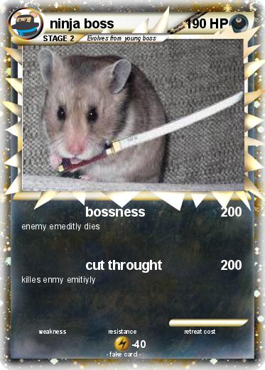 Pokemon ninja boss