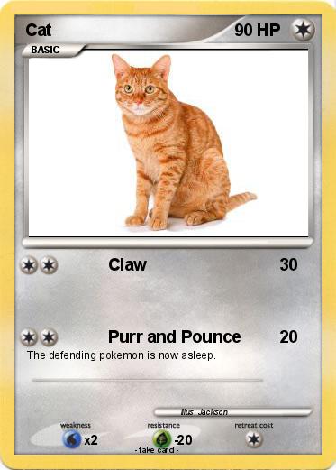Pokemon Cat