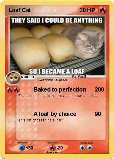 Pokemon Loaf Cat