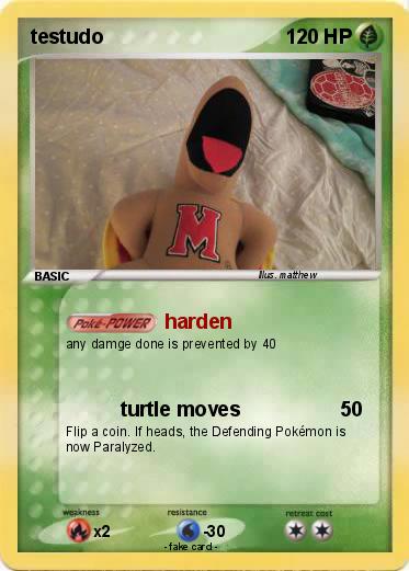 Pokemon testudo