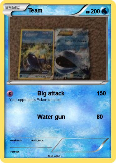 Pokemon Team