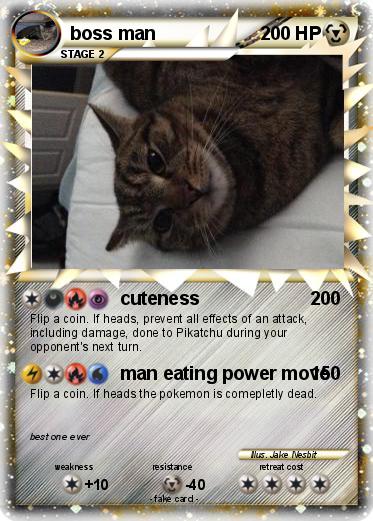 Pokemon boss man