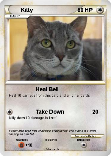 Pokemon Kitty