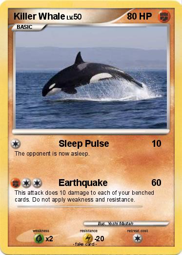 Pokemon Killer Whale