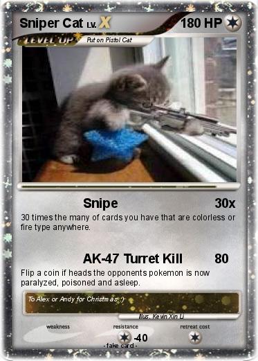 Pokemon Sniper Cat
