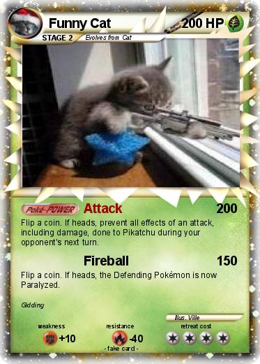 Pokemon Funny Cat