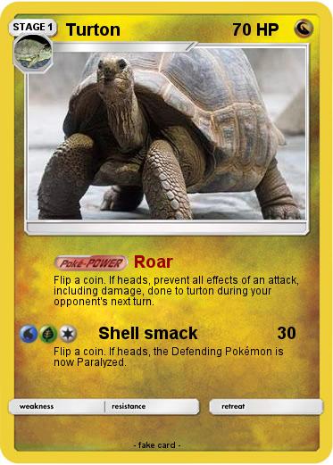 Pokemon Turton