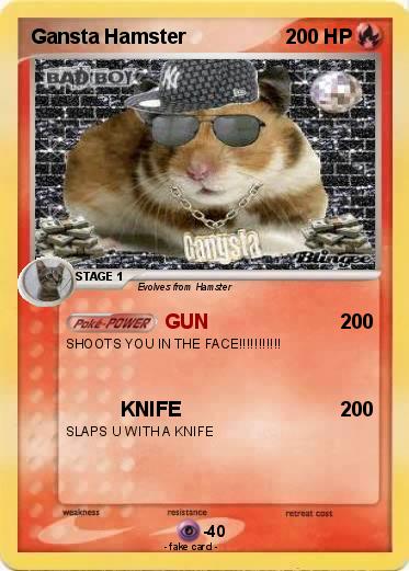Pokemon Gansta Hamster