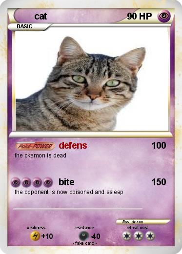 Pokemon cat