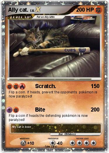 Pokemon Ally cat.