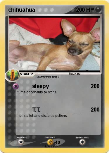 Pokemon chihuahua
