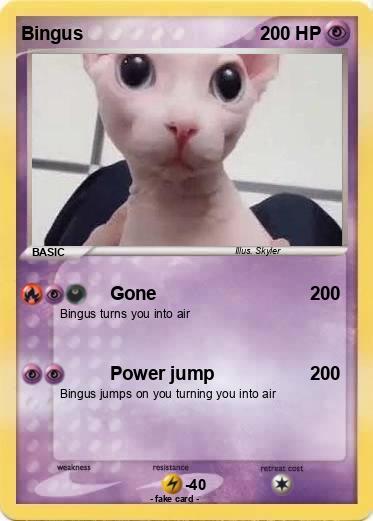 Pokemon Bingus