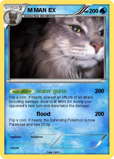 Pokemon M MAN EX