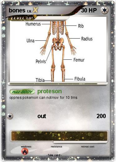 Pokemon bones