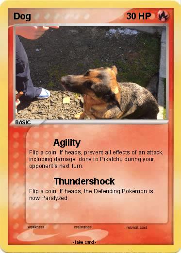Pokemon Dog