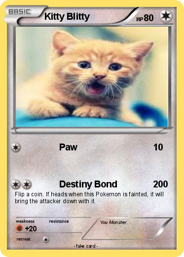 Pokemon Kitty Blitty