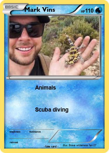 Pokemon Mark Vins