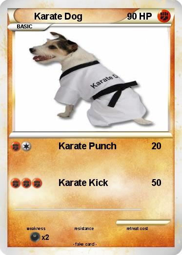 Pokemon Karate Dog