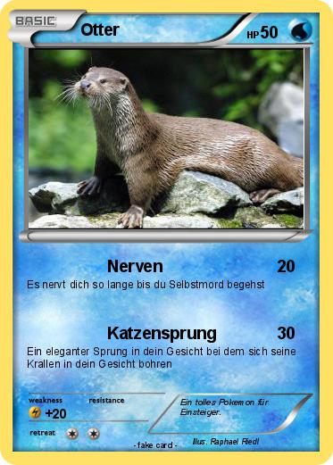 Pokemon Otter