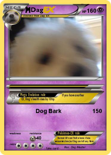 Pokemon Dag