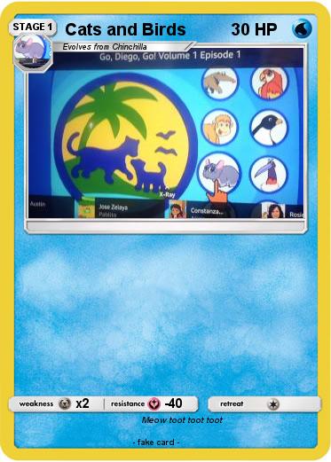 Pokemon Cats and Birds