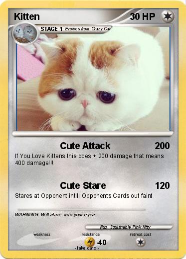 Pokemon Kitten
