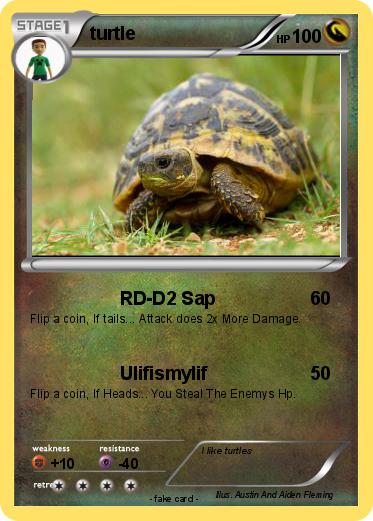 Pokemon turtle