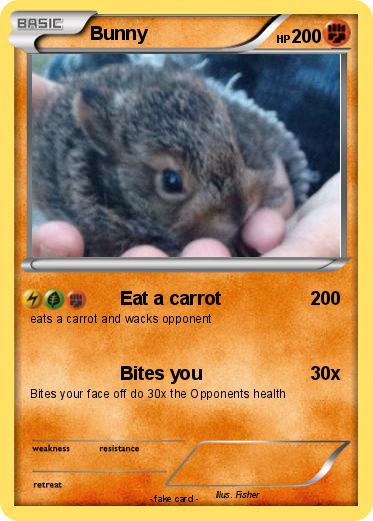 Pokemon Bunny