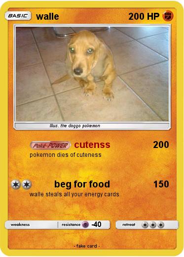 Pokemon walle