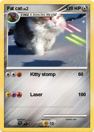 Pokemon Fat cat