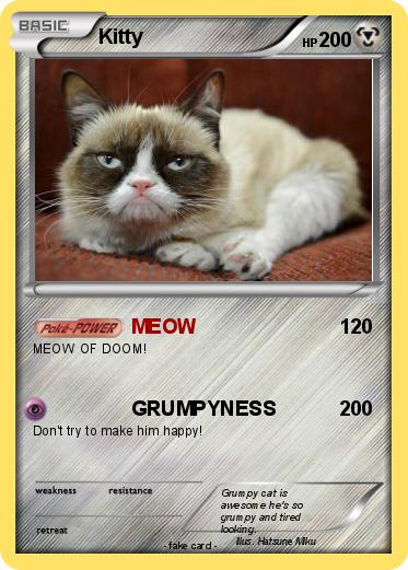 Pokemon Kitty