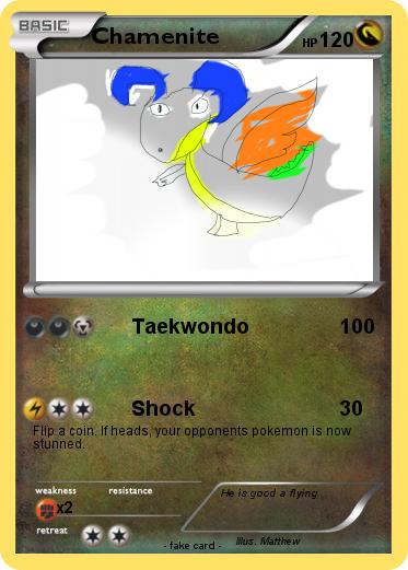 Pokemon Chamenite