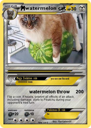 Pokemon watermelon cat