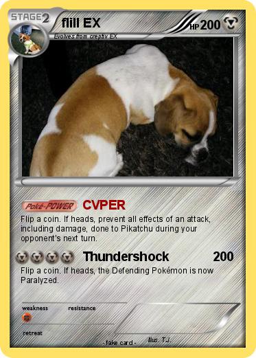Pokemon flill EX