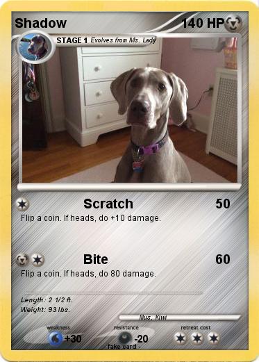 Pokemon Shadow