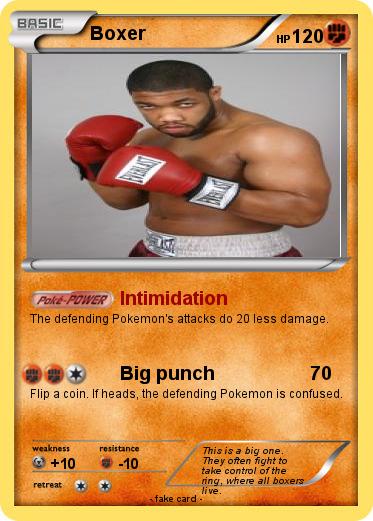 If some of the HNI boxers had Pokemon typings. Put any you can