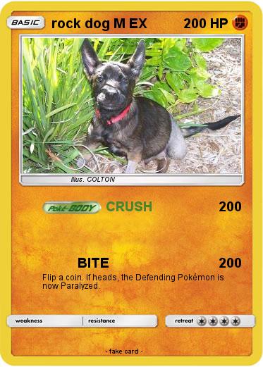 Pokemon rock dog M EX