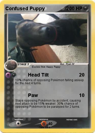Pokemon Confused Puppy