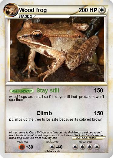Pokemon Wood frog