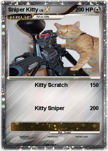Pokemon Sniper Kitty