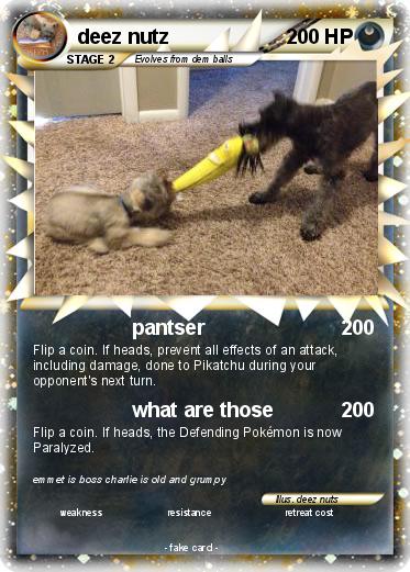 Pokemon deez nutz